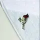 Jogo 2 Toalhas de Lavabo Trussardi 100% Algodão Arancia