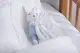 Naninha Baby Ultramacia Trussardi Nanna